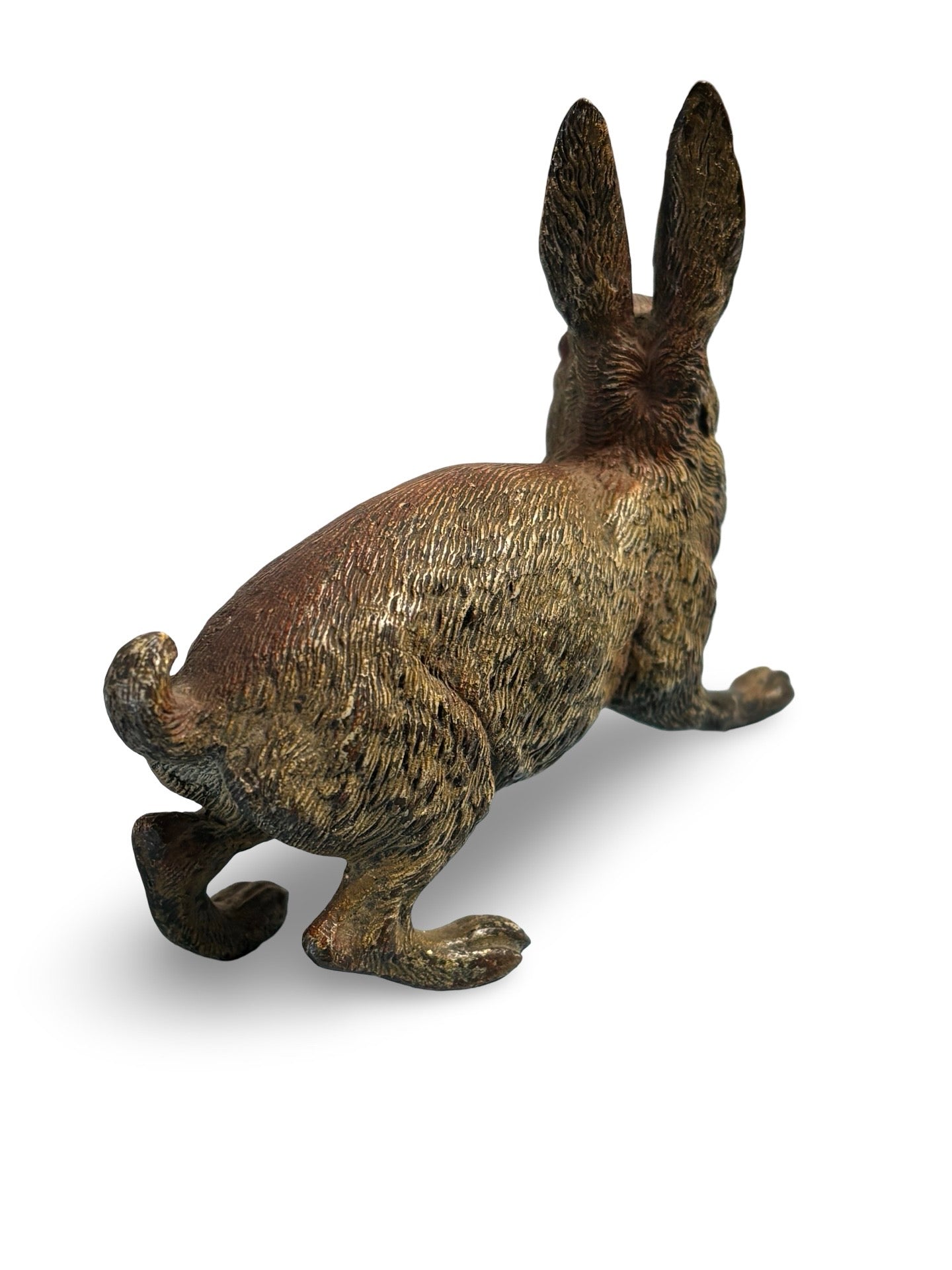 Vienna Bronze Cold Painted Hare. Circa. 1900