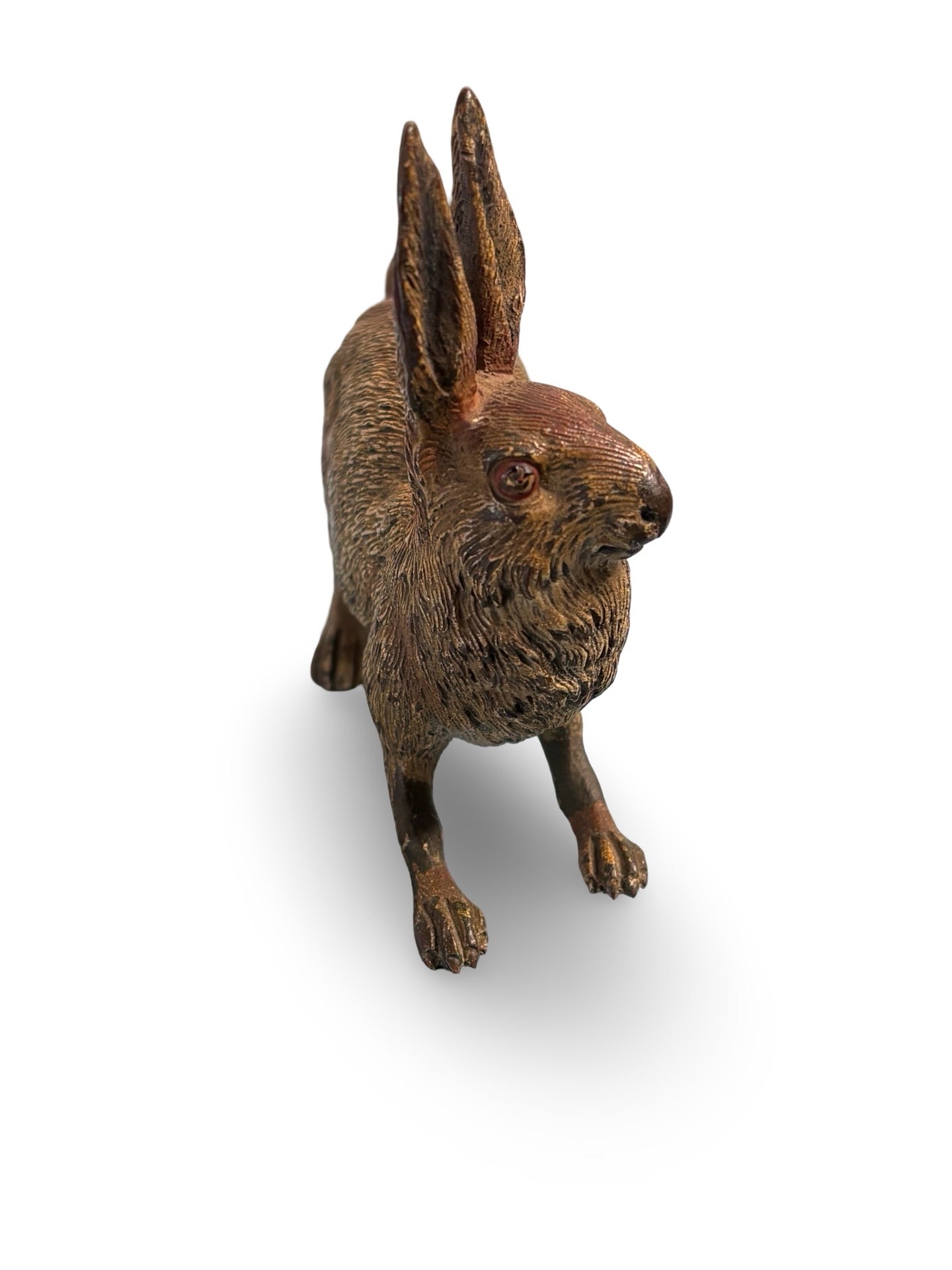 Vienna Bronze Cold Painted Hare. Circa. 1900