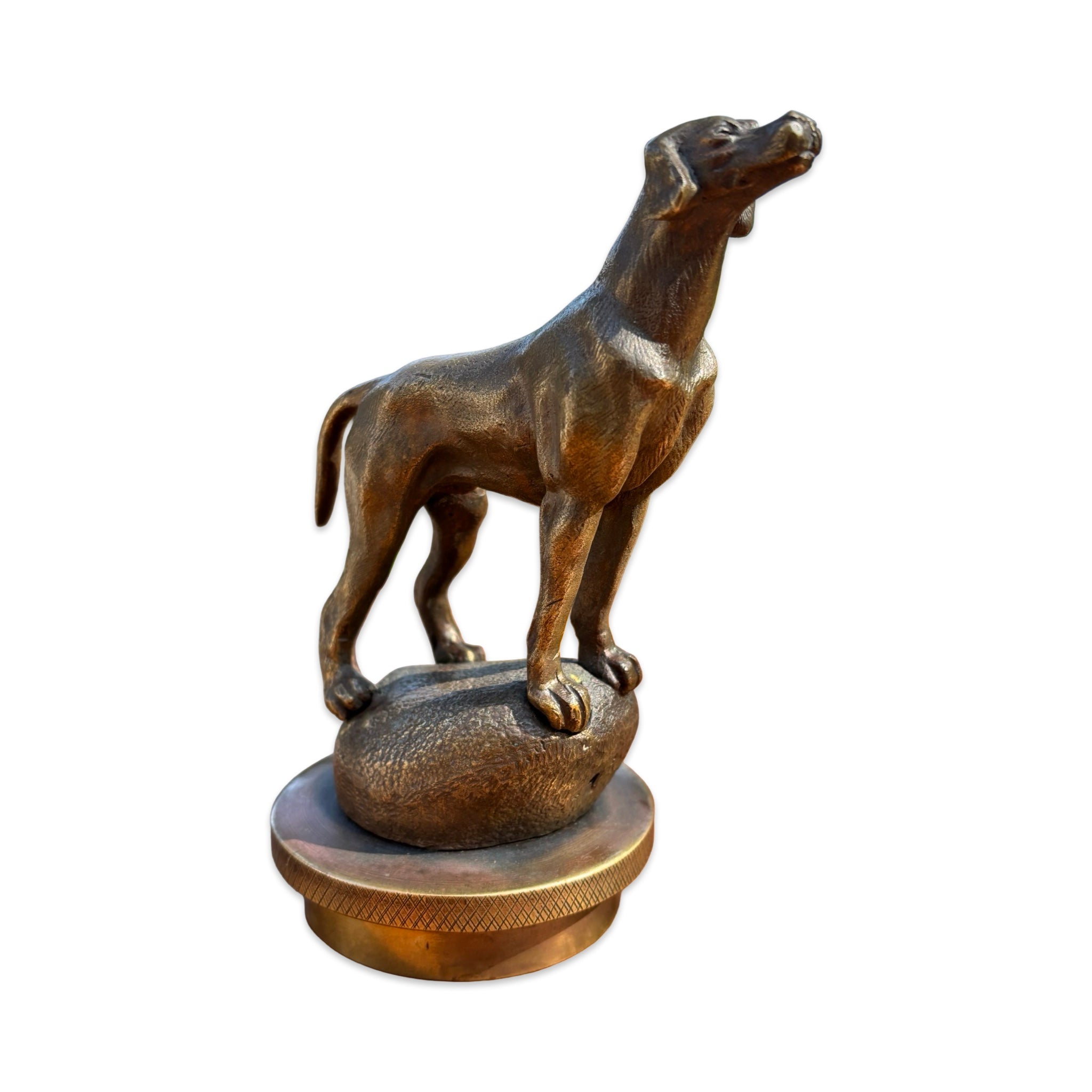 Pointer Dog Bronze Car Mascot / Hood Ornament. French, Circa. 1930