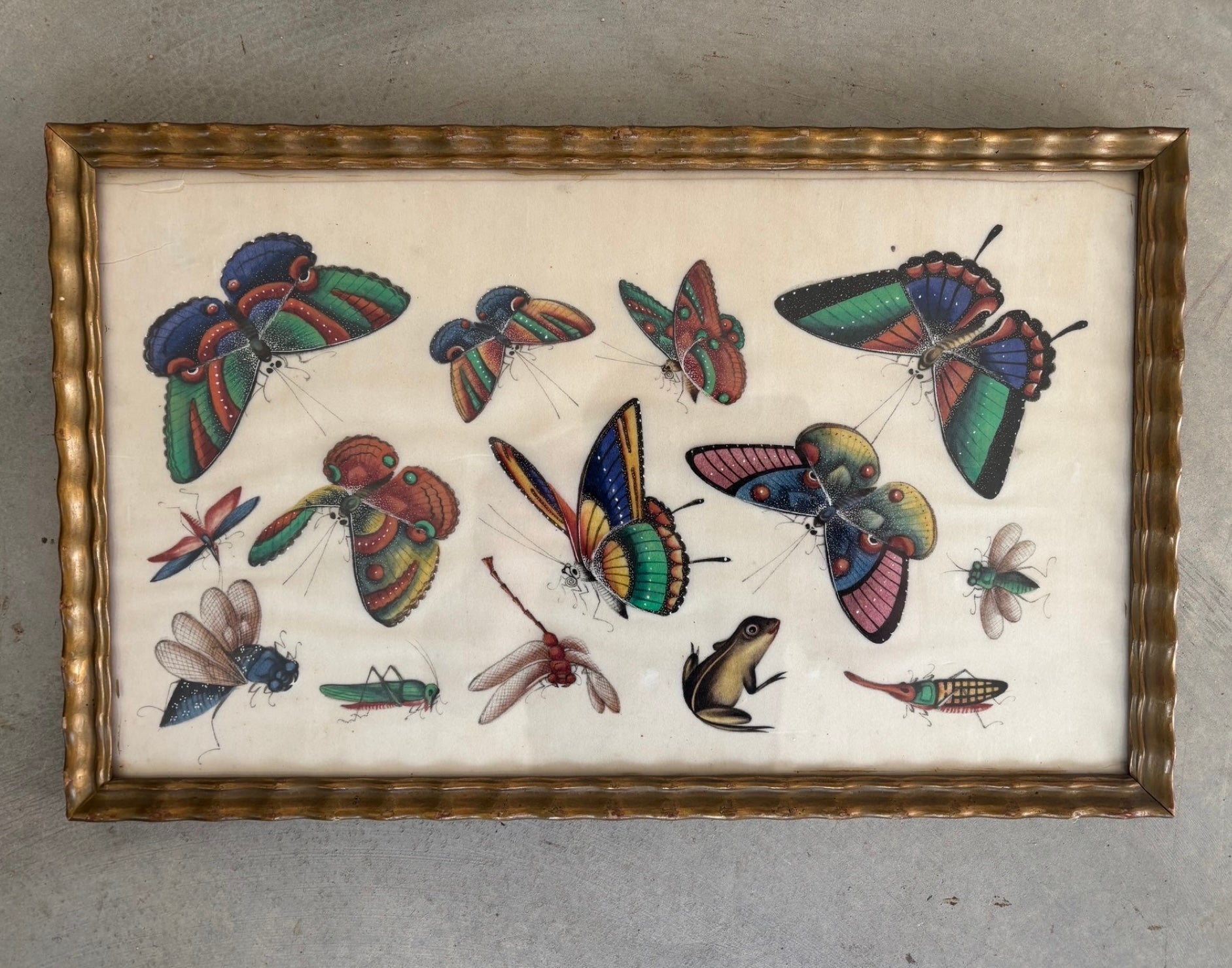 Chinese School, 19th Century Gouache on Pith Depicting Exotic Butterfl