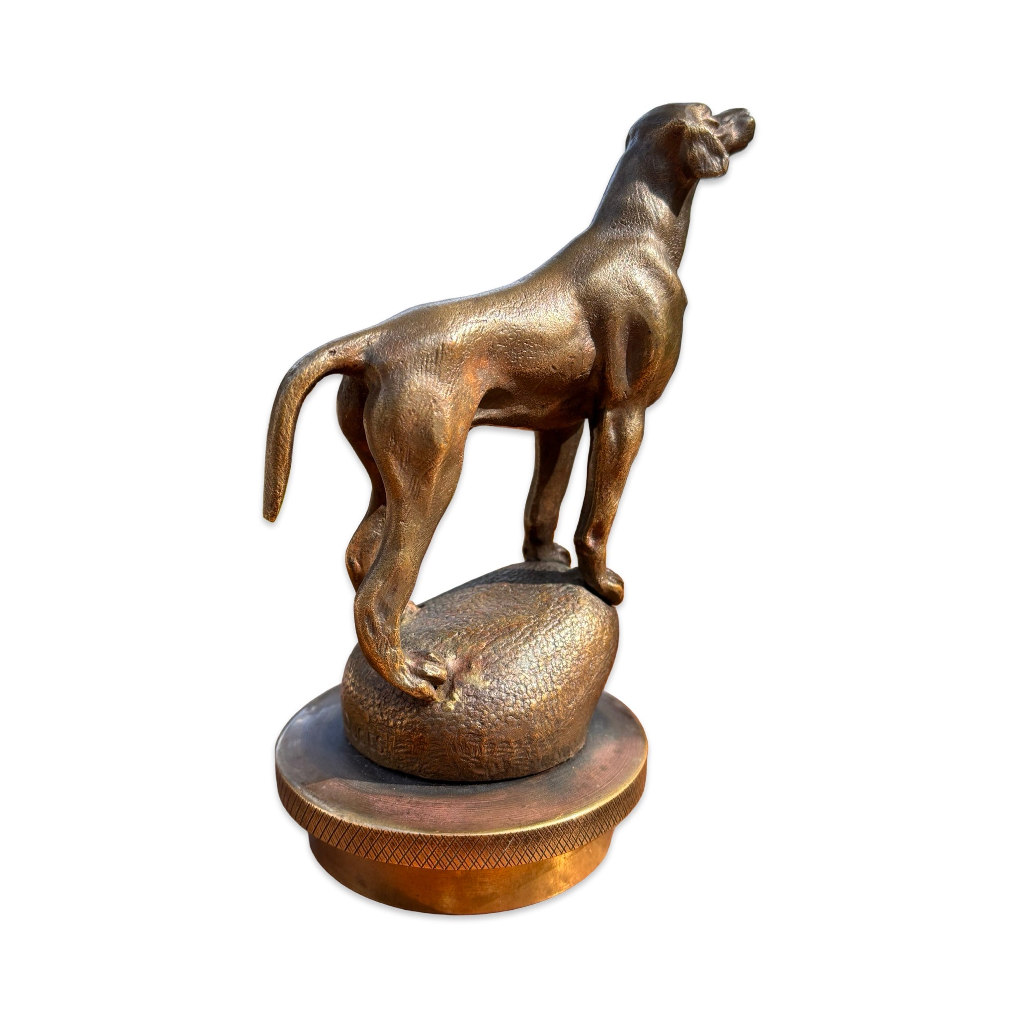 Pointer Dog Bronze Car Mascot / Hood Ornament. French, Circa. 1930