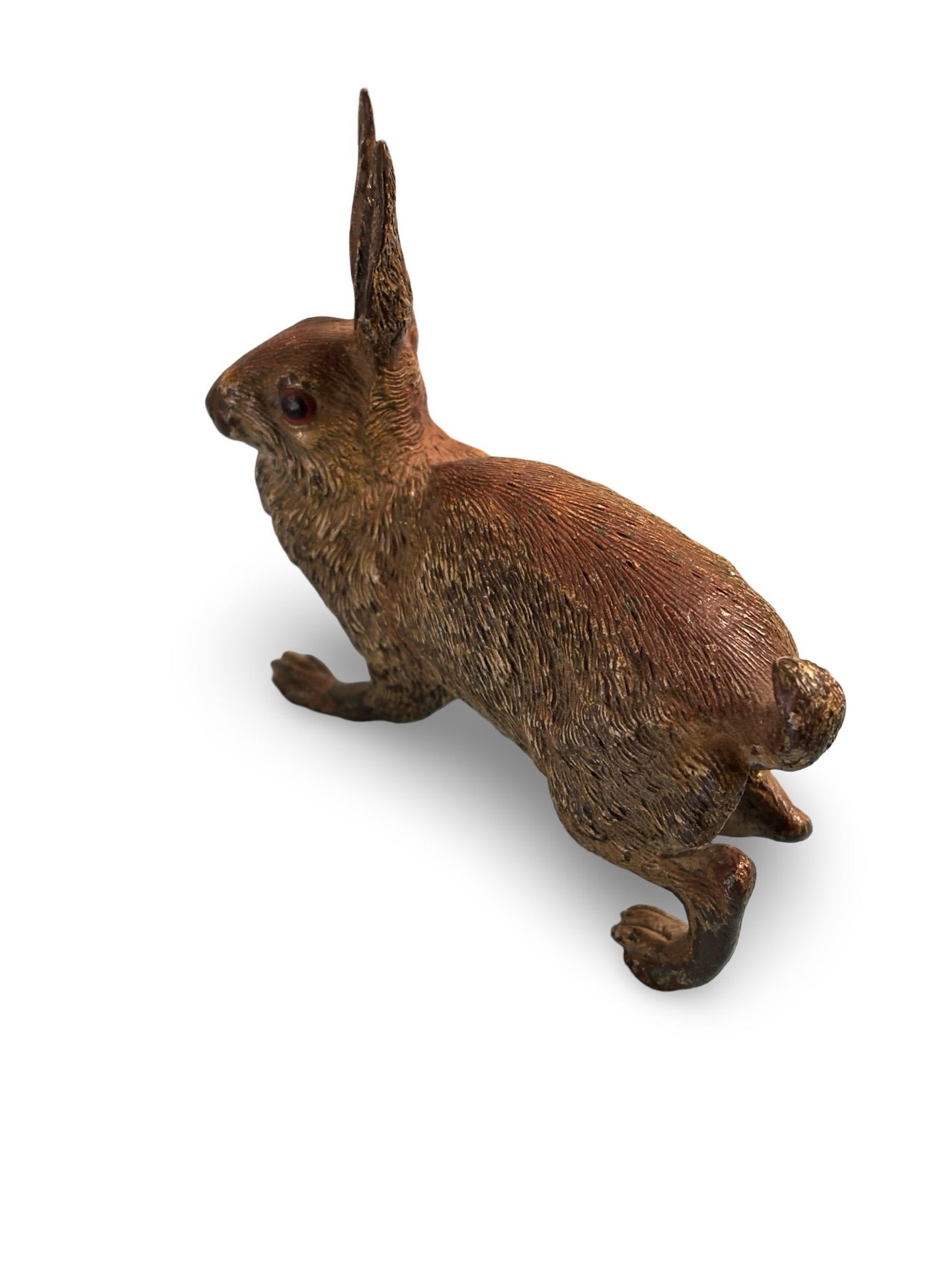 Vienna Bronze Cold Painted Hare. Circa. 1900