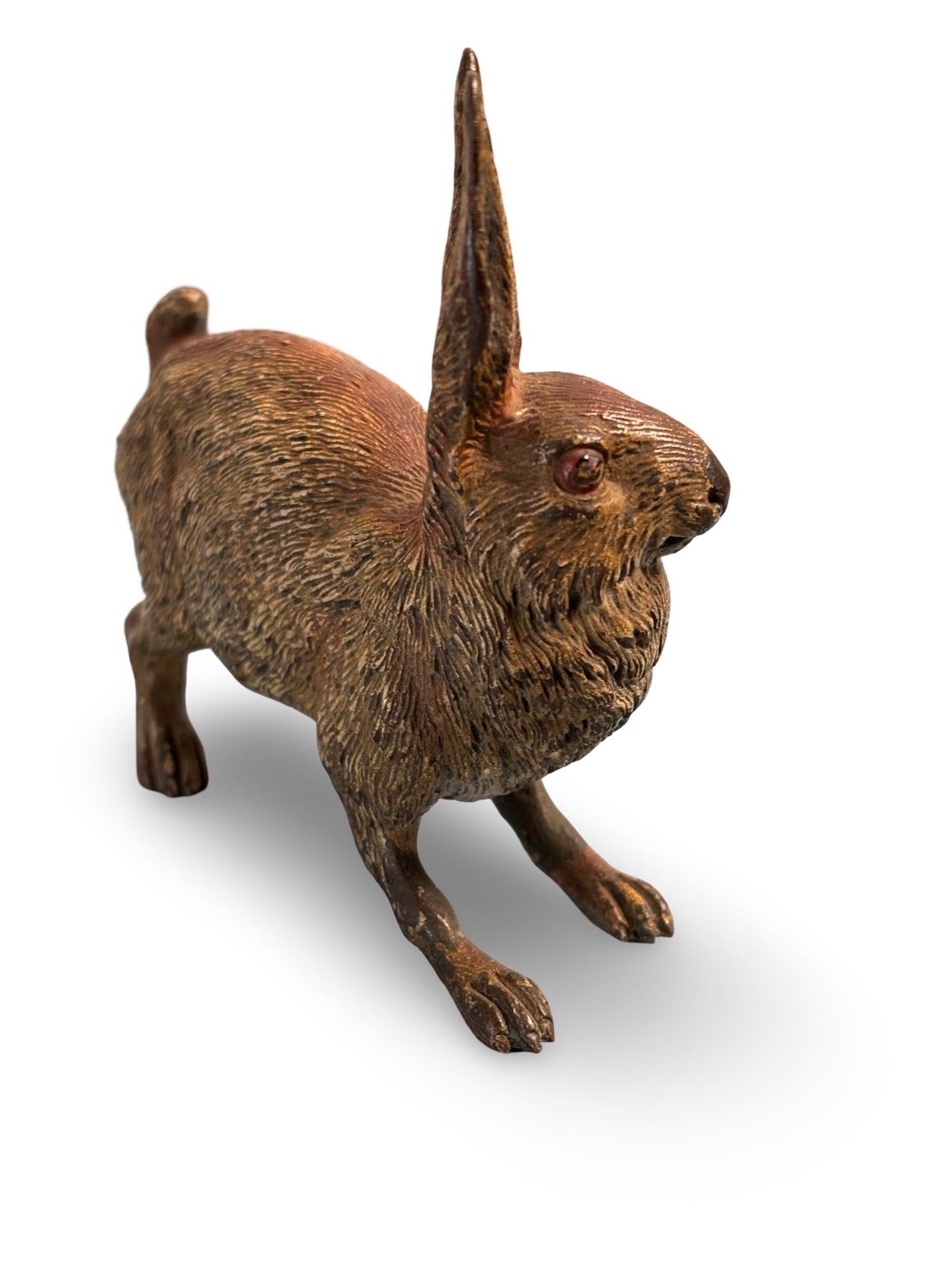 Vienna Bronze Cold Painted Hare. Circa. 1900