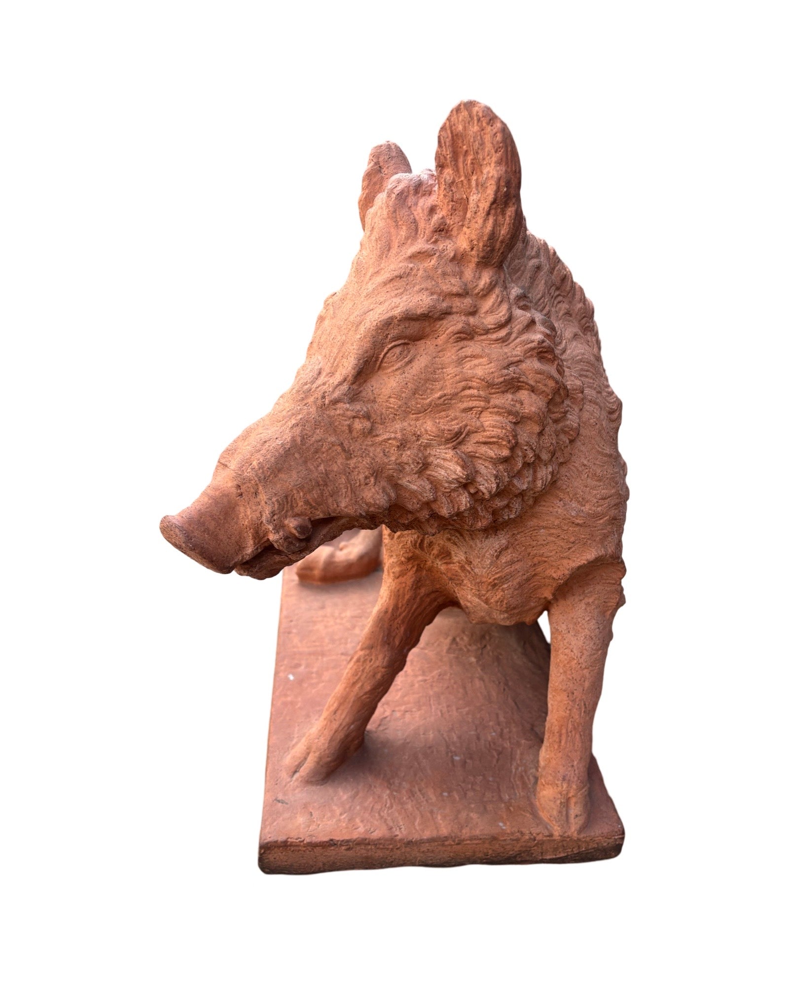 Large Terracotta Model of the Uffizi Boar