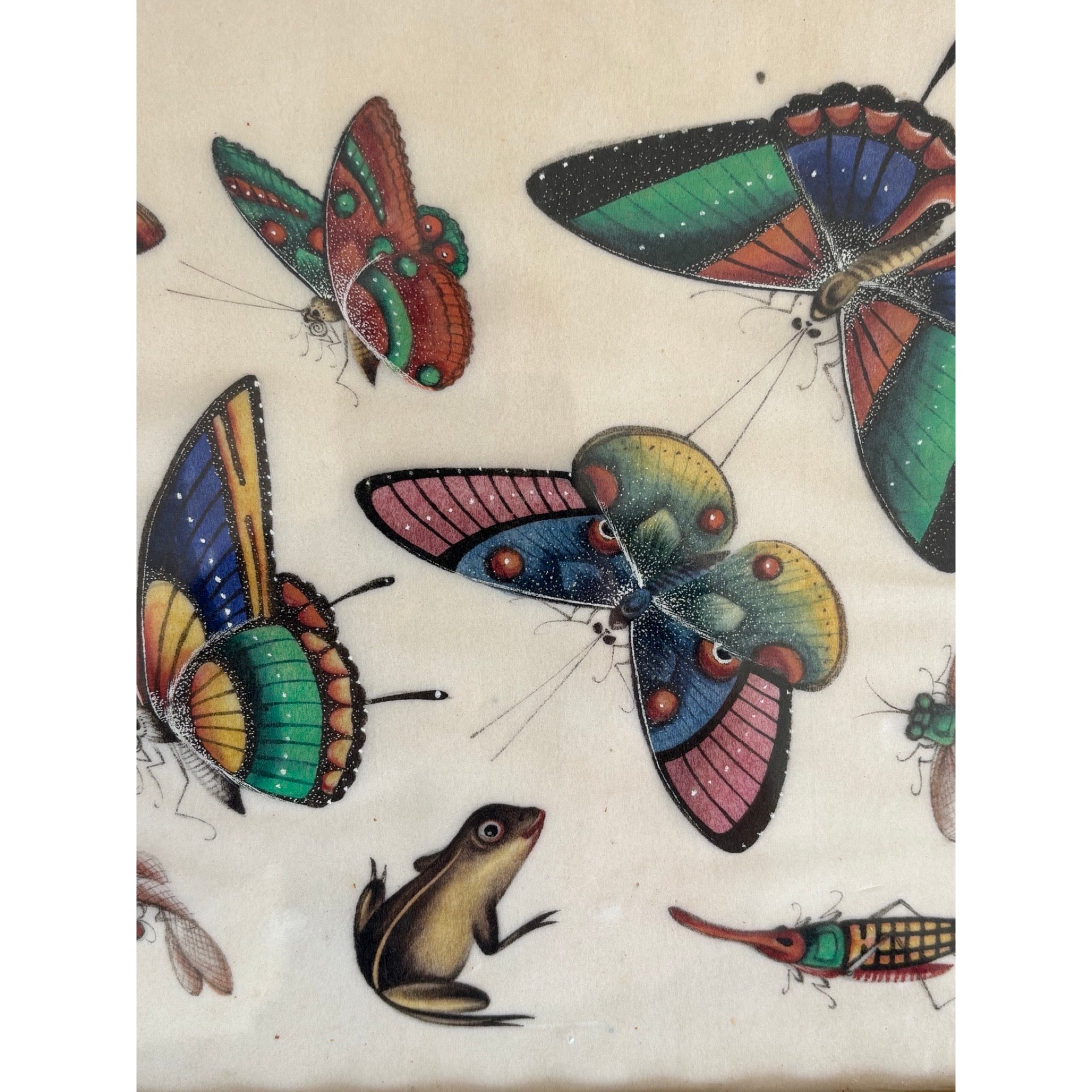 Chinese School, 19th Century Gouache on Pith Depicting Exotic Butterflies and Insects