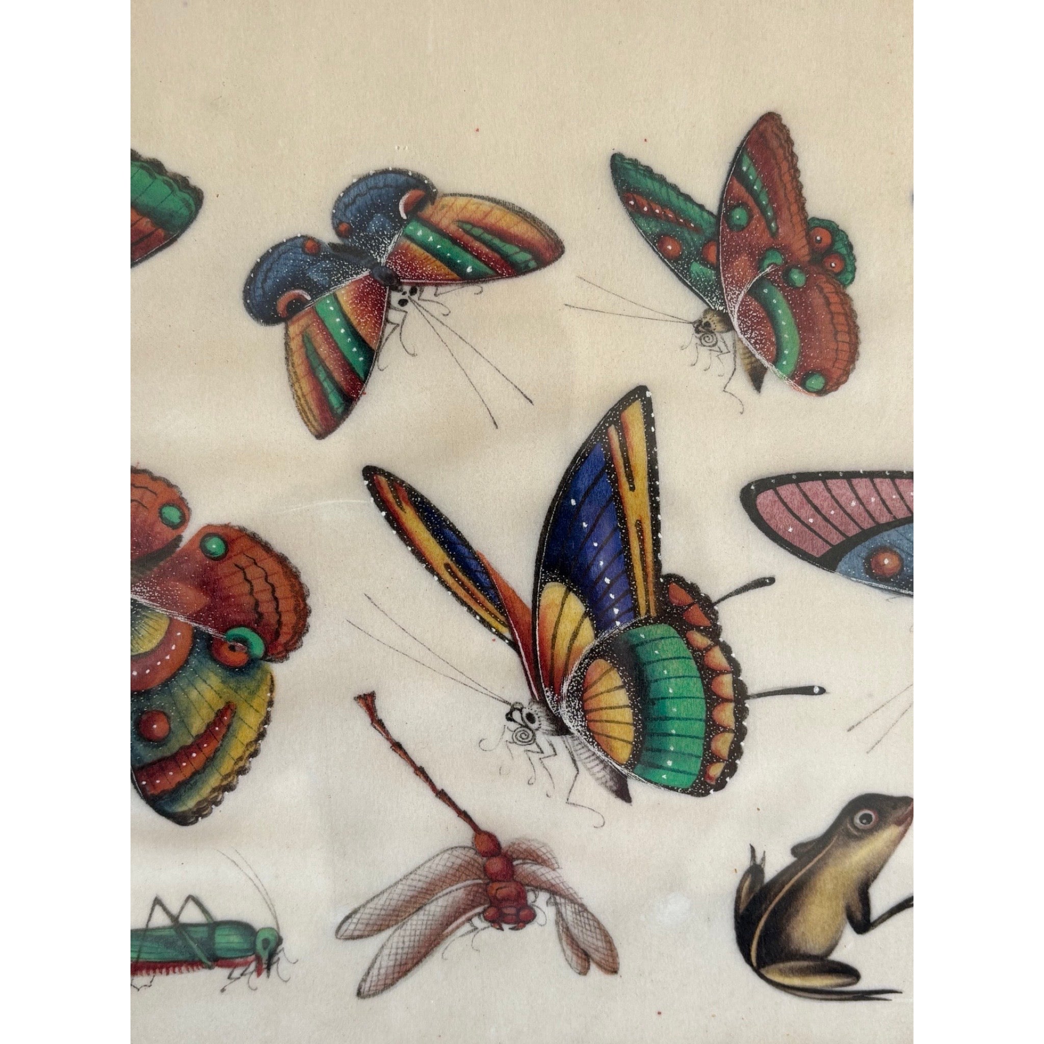 Chinese School, 19th Century Gouache on Pith Depicting Exotic Butterflies and Insects