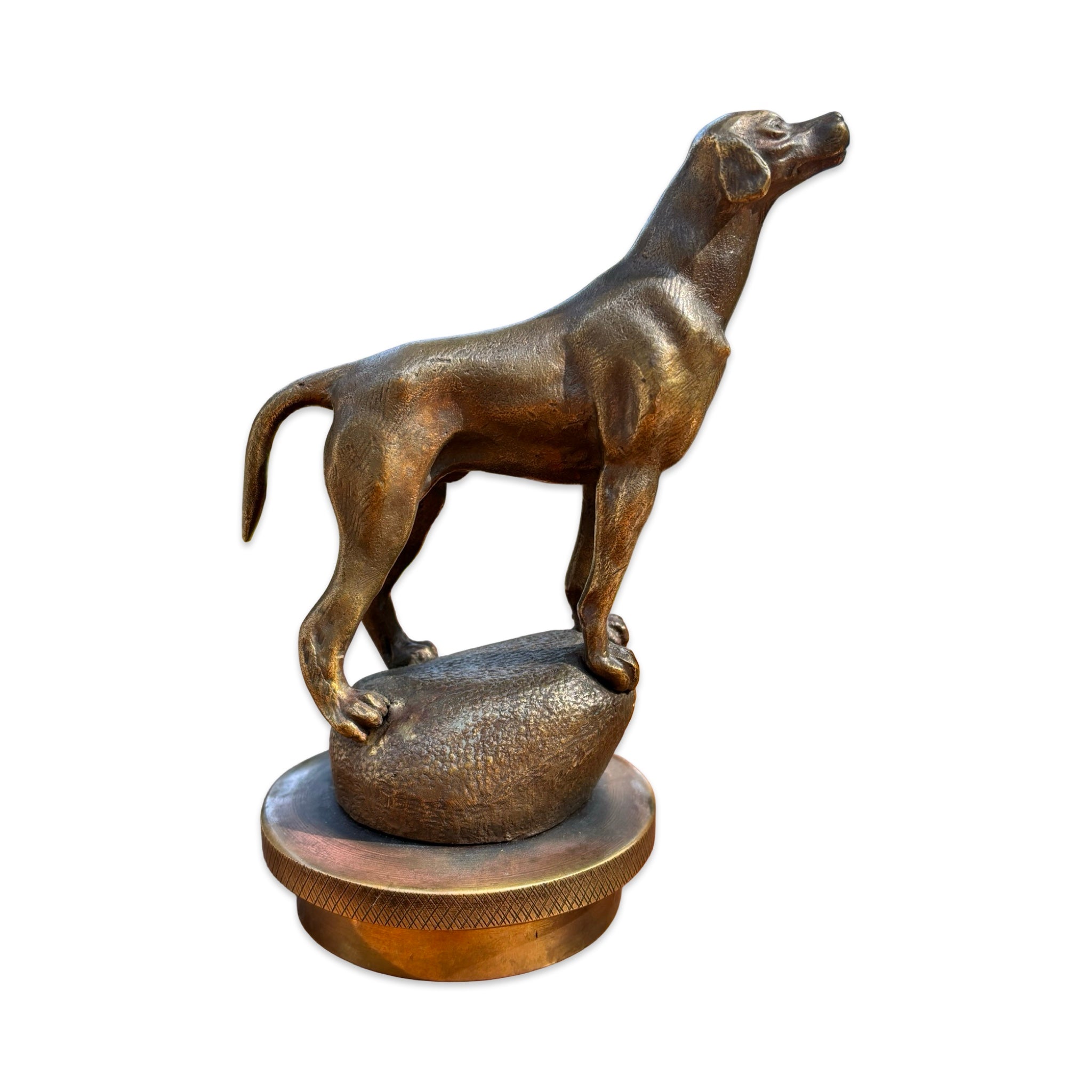 Pointer Dog Bronze Car Mascot / Hood Ornament.  French, Circa. 1930