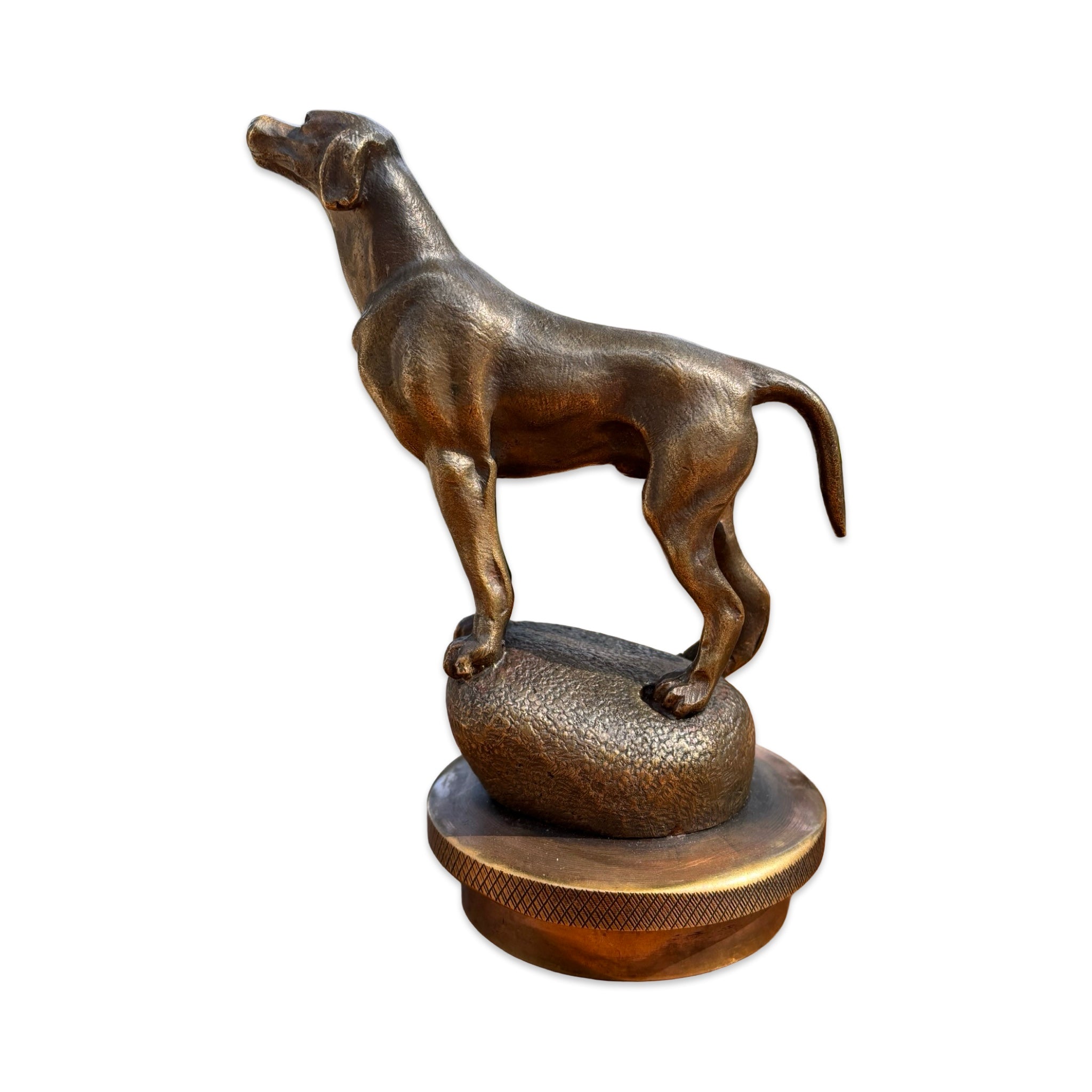 Pointer Dog Bronze Car Mascot / Hood Ornament.  French, Circa. 1930